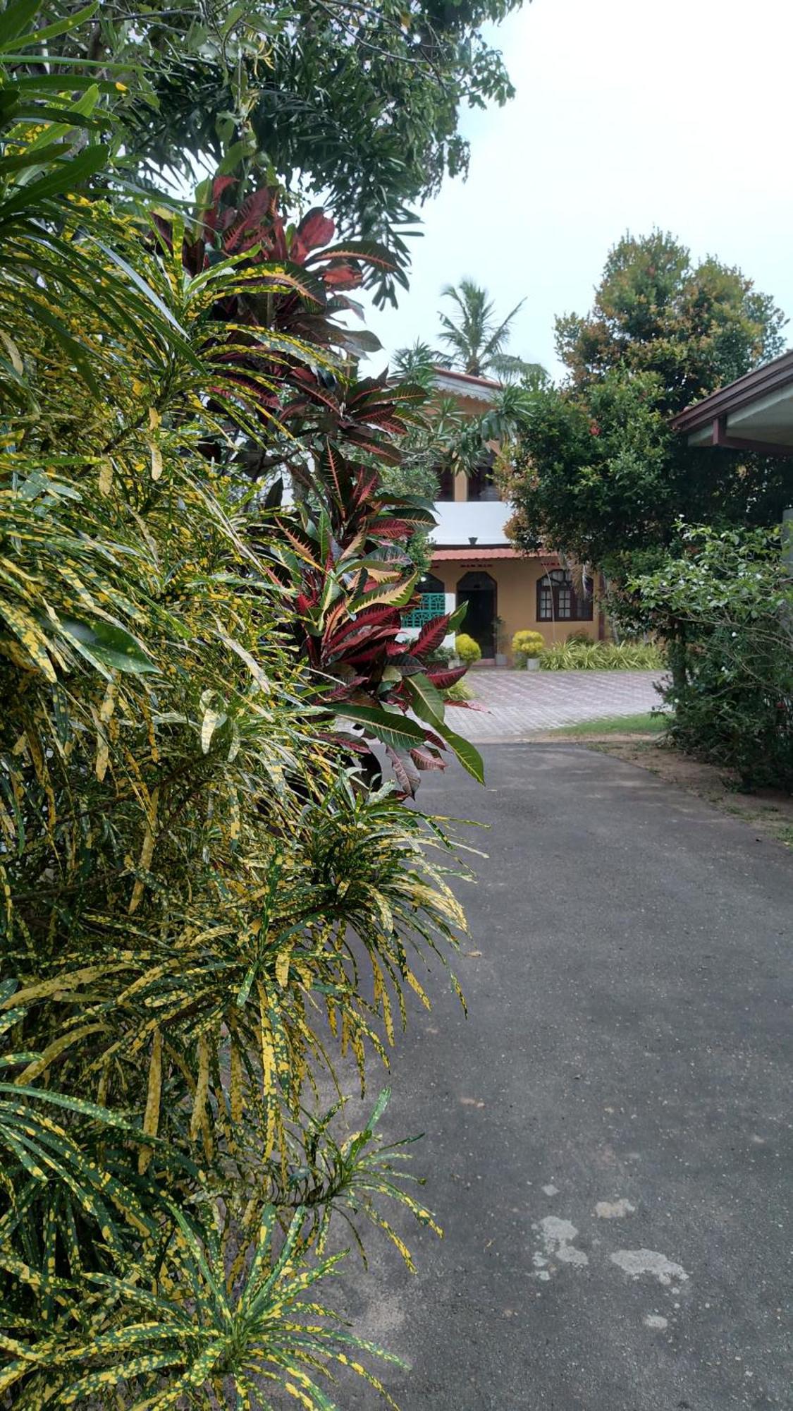 Ch Rooms - Transit Airport Negombo Exterior foto
