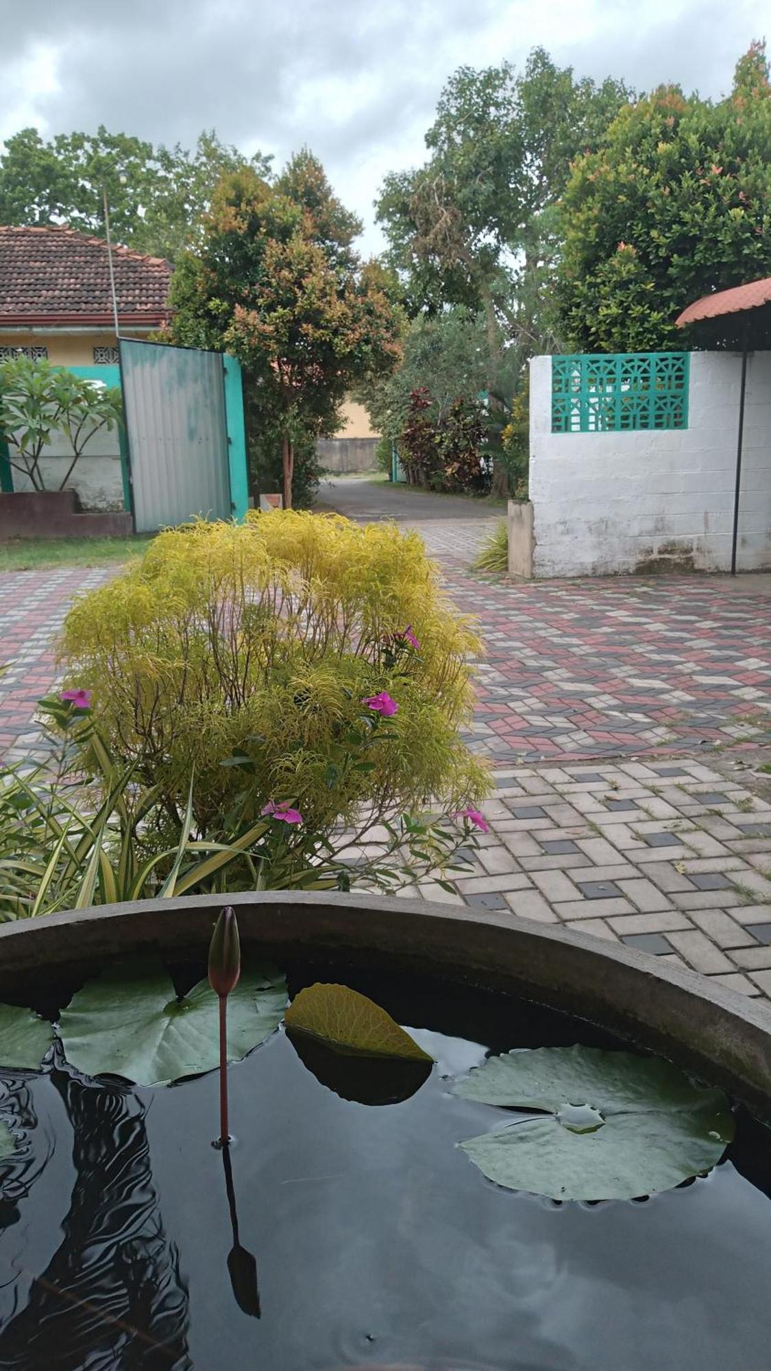 Ch Rooms - Transit Airport Negombo Exterior foto